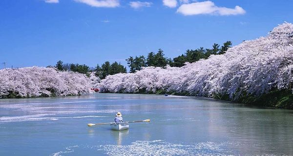 HirosakiPark