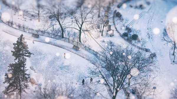 Snowy day in Toronto, Canada