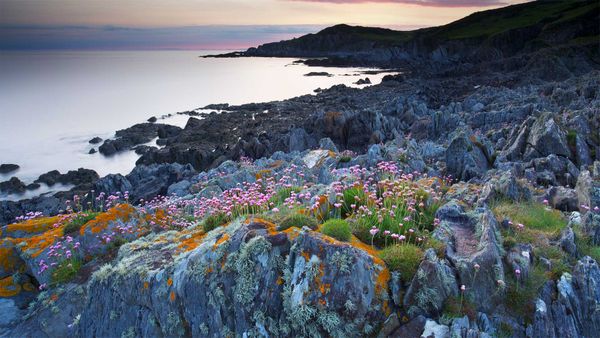 Bull Point in Devon