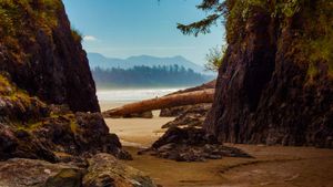 Beach near Tofino, Vancouver Island, Canada (© Cavan Images/Offset)(Bing United Kingdom)