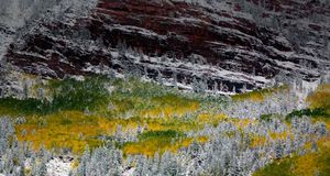 ｢レッド・クリフス｣アメリカ, コロラド州, ホワイト・リバー国有林 (© Terry Eggers/Danita Delimont) &copy; (Bing Japan)
