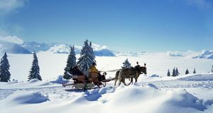 Traîneau tiré par des chevaux, Suisse (© Sonderegger Christof/Alamy) &copy; (Bing France)
