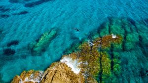 西班牙，卡布·加塔自然公园，地中海潜泳的人 (© David Santiago Garcia/Aurora Photos)(Bing China)