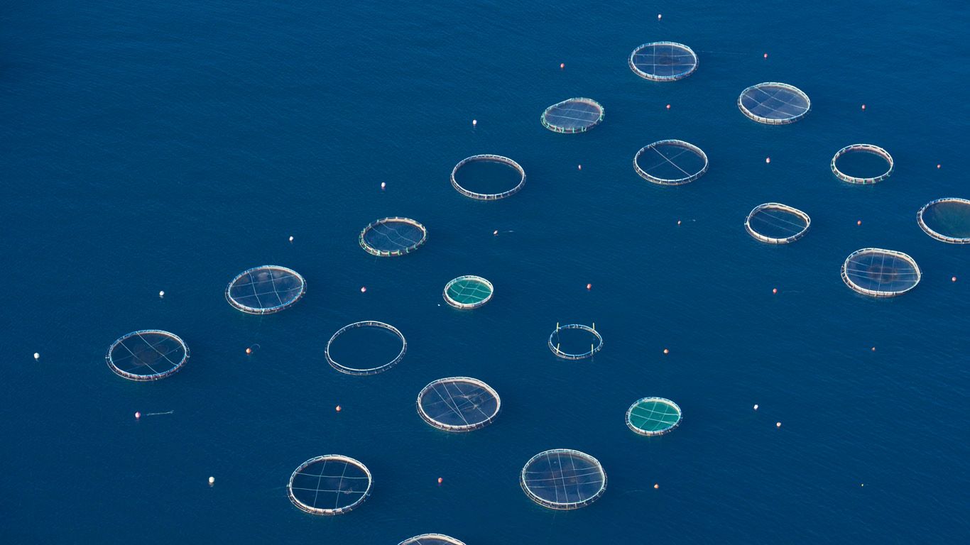 Parcs à poissons au large des îles Sanguinaires, Corse du Sud