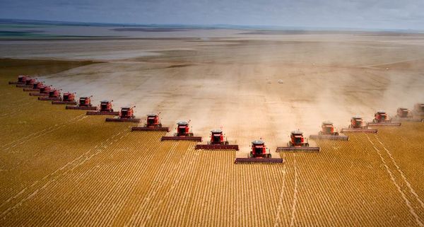 Soya beans are harvested at Fartura Farm, Mato Grosso state, Brazil