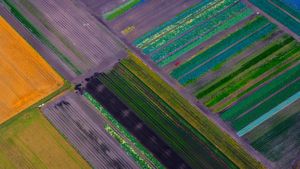 Blick auf Felder, Luftaufnahme, Bayern (© Westend61 GmbH/Alamy)(Bing Deutschland)