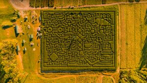 塞勒斯堡的玉米迷宫，宾夕法尼亚州，美国 (© Alex Potemkin/Getty Images)(Bing China)