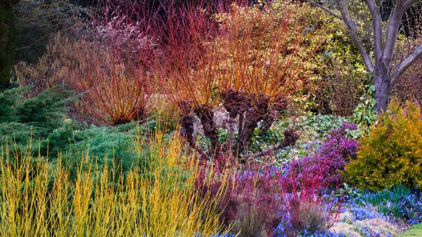 Cambridge University Botanic Garden, Cambridge, England