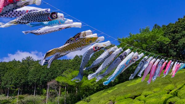 姫の沢公園, 静岡県 熱海市