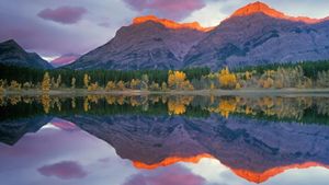Wedge Pond and Mt. Kidd, Peter Lougheed Provincial Park, Alberta, Canada (© Darwin Wiggett /Getty Images)(Bing Australia)