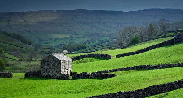 Stone farm buildings and dry stone walls in Swaledale, Yorkshire, UK