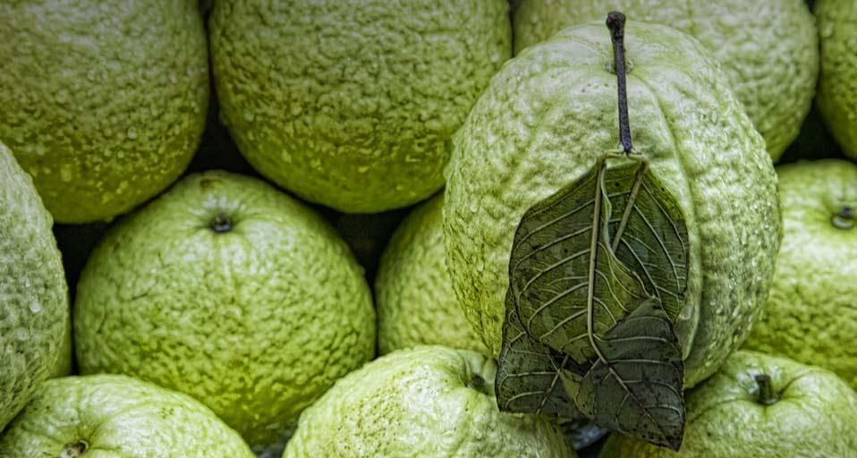 Guavas