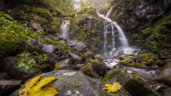 Cascate del Dardagna in autunno, Bologna