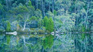 费尔德山国家公园里的达布森湖，塔斯马尼亚岛 (© Tom Mackie/plainpicture)(Bing China)