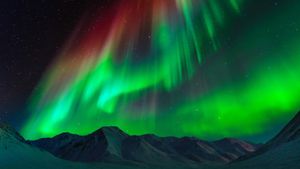 布鲁克斯山脉上空的极光，美国阿拉斯加州 (© Noppawat Tom Charoensinphon/Getty Images)(Bing China)