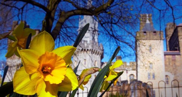 CardiffCastle
