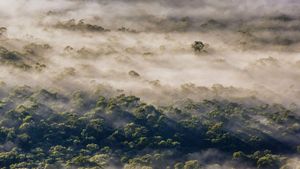 Fog in Megalong Valley, New South Wales, Australia (© Andrew Peacock/Tandem Stills + Motion)(Bing Australia)