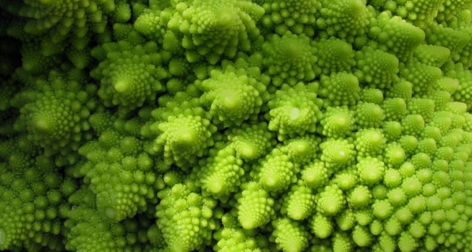 Romanesco