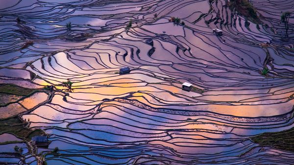 Aerial view of terraced rice fields, Yuanyang, China