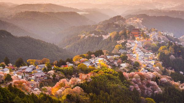 ｢吉野の桜｣奈良, 吉野山