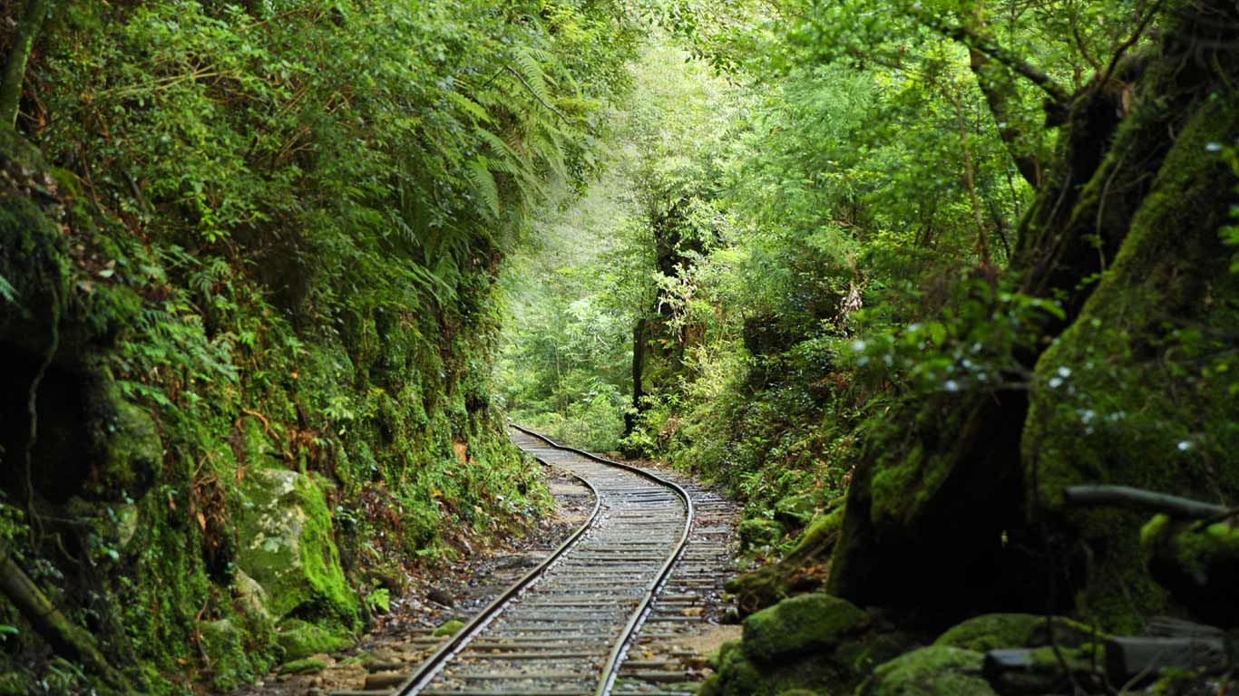 Railroad track through forest, Kagoshima Prefecture, Japan
