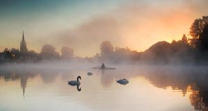 Swans and rower on the River Thames at dawn (© Edward Staines/Corbis) &copy; (Bing United Kingdom)