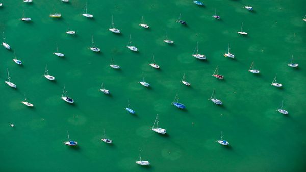 Anchored sailboats, Lake Constance, Friedrichshafen, Baden Wurttemberg, Germany