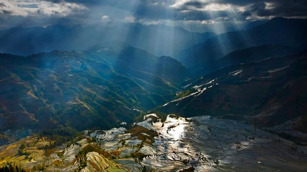 Sunlight reflecting on rice paddy terraces, Yuanyang County, China