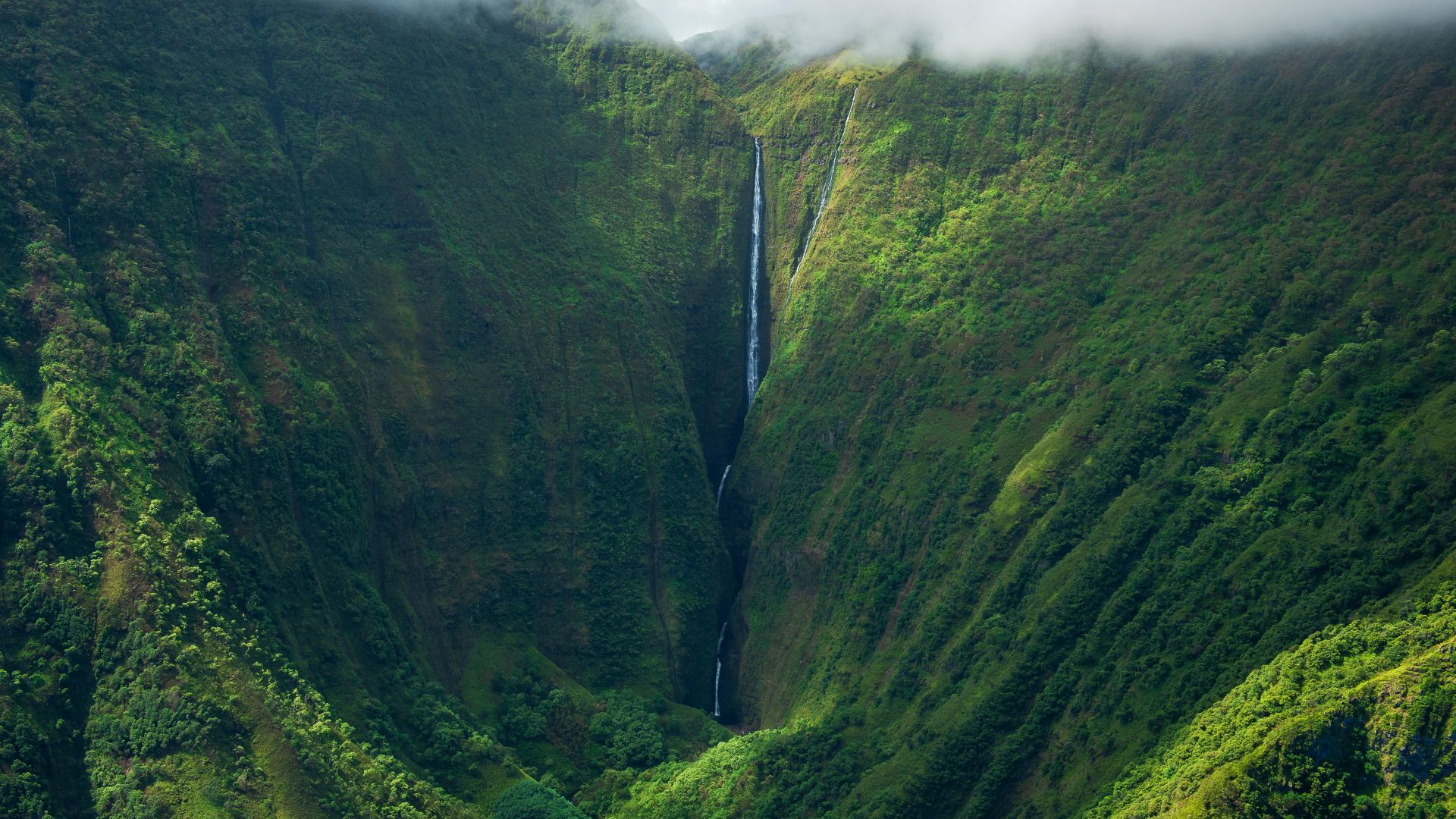 Cascate Olo'upena, isola di Moloka'i, Hawaii, USA