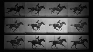 埃德沃德 · 迈布里奇的无声短片:" 飞驰中的萨利·加德纳" (© Eadweard Muybridge/Corbis)(Bing China)