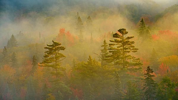 Lake Superior Provincial Park, Ontario, Canada