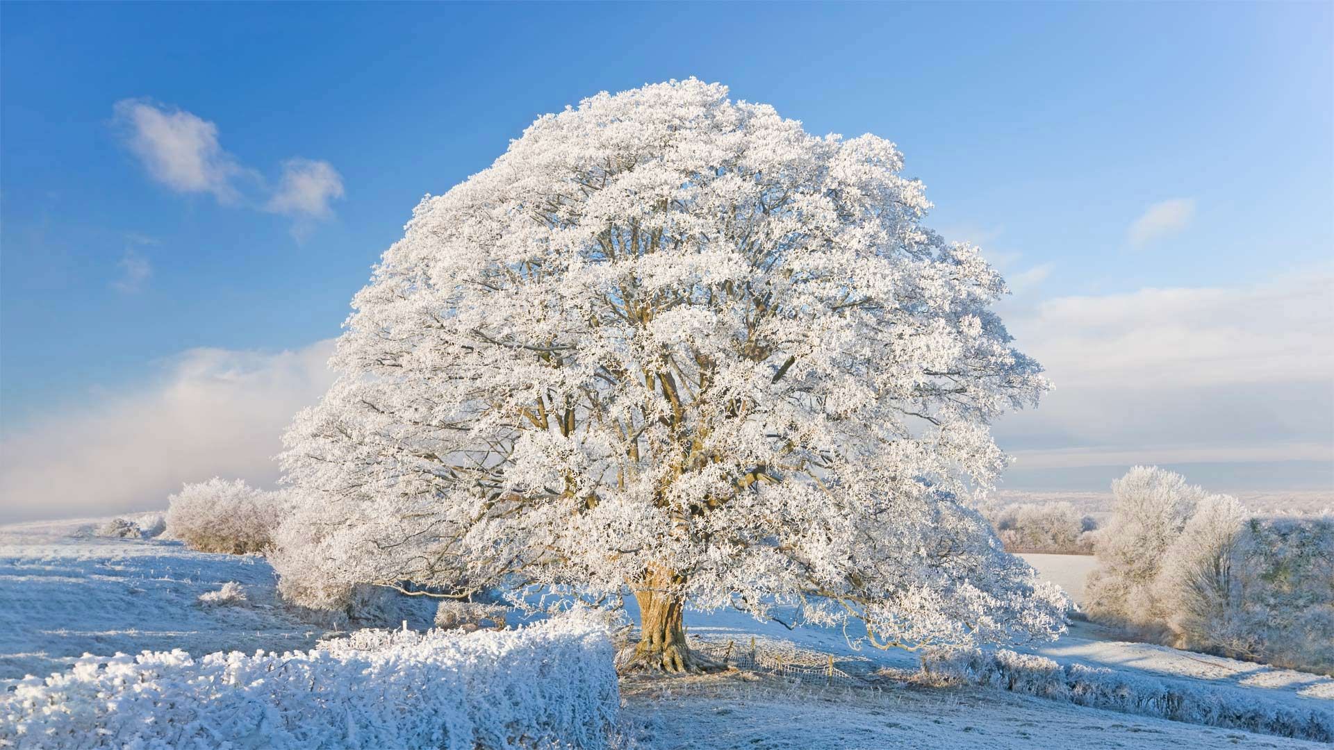 Hoar frost and snow near Dursley, Gloucestershire
