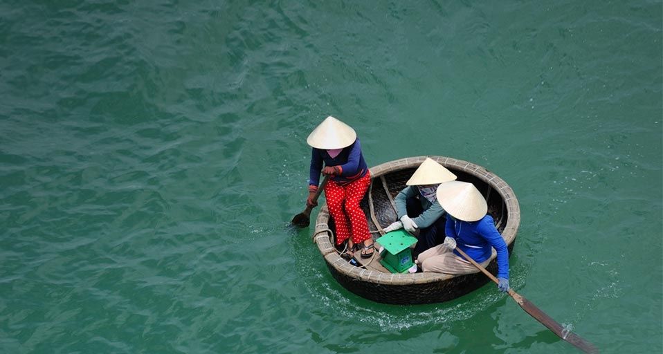Three women rowing in bamboo basket boat, Vietnam