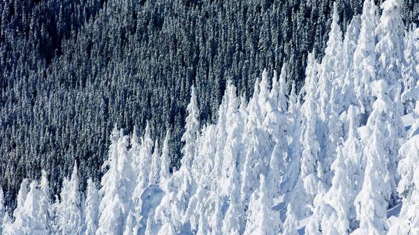 Whistler Mountain in British Columbia, Canada