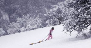 A sledger carries her sleigh up to the top of the slope on a snow-covered golf course in Henley-on-Thames, England -- Oli Scarff/Getty Images &copy; (Bing United Kingdom)