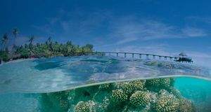 法属波利尼西亚，土阿莫土群岛上的“法卡拉瓦”环礁 -- Sergio Pitamitz/Corbis &copy; (Bing China)