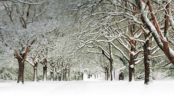 Southampton Common, England