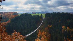Geierlay suspension bridge, Saar-Hunsrueck-Steig, Hunsrueck, Rhineland-Palatinate, Germany (© Bernados/Westend61/plainpicture)(Bing New Zealand)