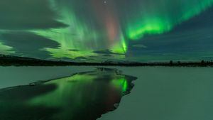 Aurora display, Whitehorse, Yukon, Canada (© John Hyde/plainpicture/Design Pics)(Bing New Zealand)