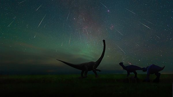Perseid meteor shower photographed at the Dinosaur Museum of Erenhot in Inner Mongolia, China