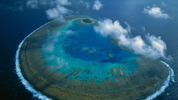 Lady Musgrave Island coral atoll in Capricorn-Bunker group, Great Barrier Reef Marine Park, Queensland, Australia