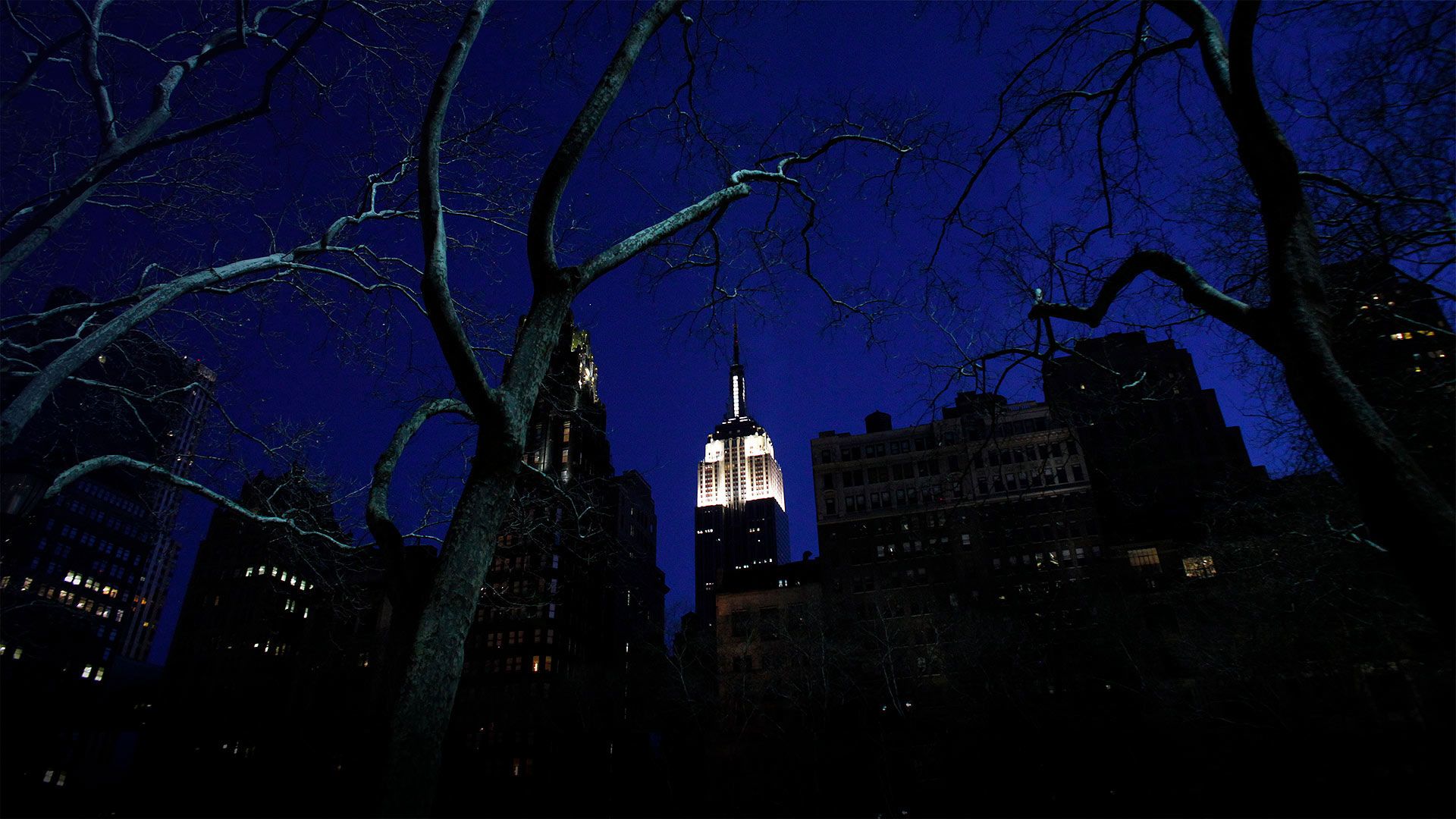 New York City’s Empire State Building is seen lit up before Earth Hour in 2011