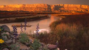 大弯曲国家公园的塞拉庞塞和格兰德河边的悬崖，美国得克萨斯州 (© Tim Fitzharris/Minden Pictures)(Bing China)