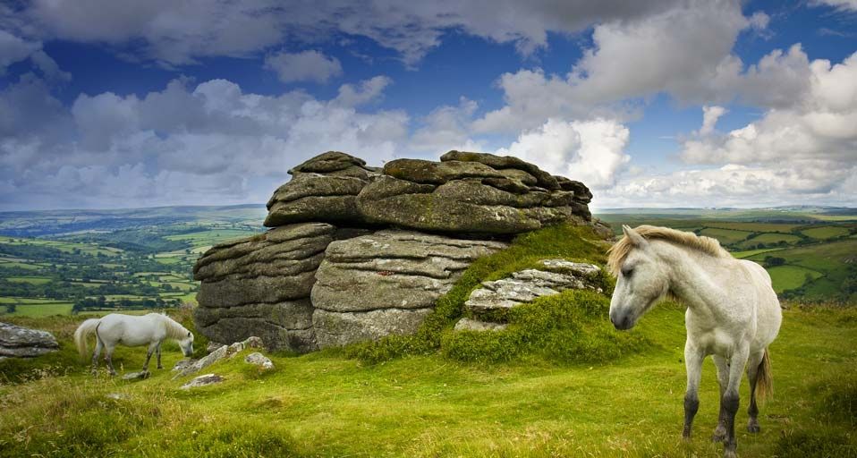Ponies