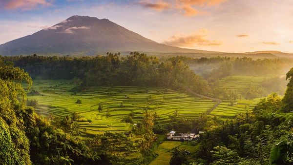 Rice fields in the Sidemen Valley and Mount Agung, Bali, Indonesia