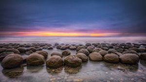 保龄球海滩的日落，门多西诺县，加利福尼亚，美国 (© Melo Qiao/Getty Images)(Bing China)