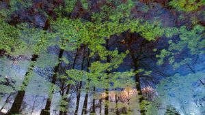 Reflection on the lake at Bergpark Wilhelmshöhe in Kassel, Germany (© Chinch Gryniewicz/plainpicture)(Bing Australia)