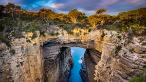 Tasmans Arch, Tasmania, Australia (© Gary Bell/Minden Pictures)(Bing United Kingdom)