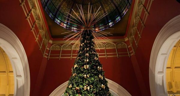 SydneyXmasTree