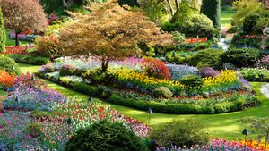 Butchart Gardens in Brentwood Bay, British Columbia (© 2009fotofriends/Shutterstock)(Bing Canada)